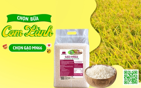 GẠO MN66 - LỰA CHỌN BỮA CƠM LÀNH, BẢO VỆ SỨC KHỎE GIA ĐÌNH