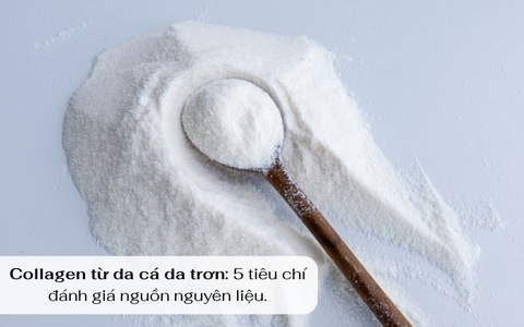 COLLAGEN TỪ DA CÁ DA TRƠN: 5 TIÊU CHÍ ĐÁNH GIÁ NGUỒN NGUYÊN LIỆU