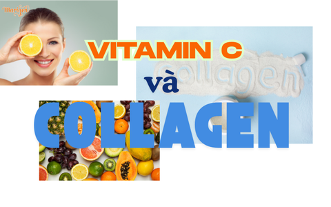 VITAMIN C CÓ TÁC DỤNG GÌ VỚI COLLAGEN ?