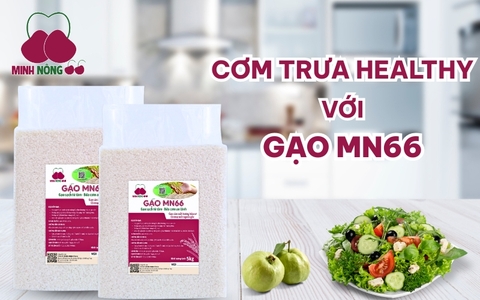 GỢI Ý CƠM TRƯA HEALTHY VỚI GẠO MN66