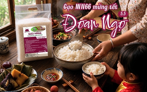 TẾT ĐOAN NGỌ – GÌN GIỮ NÉT XƯA, TRÂN QUÝ ĐIỀU LÀNH