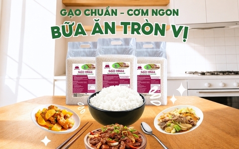 GẠO CHUẨN CƠM NGON – BỮA CƠM TRÒN VỊ