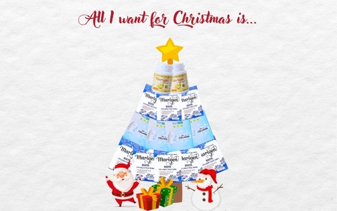 MERRY CHRISTMAS & THANK YOU FOR A MEANINGFUL YEAR