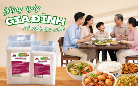 MỪNG NGÀY GIA ĐÌNH - VỀ NHÀ ĂN CƠM