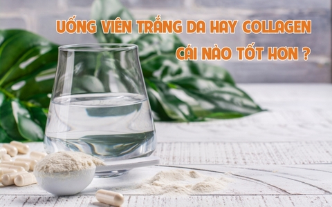 UỐNG VIÊN TRẮNG DA HAY UỐNG COLLAGEN THÌ TỐT HƠN?
