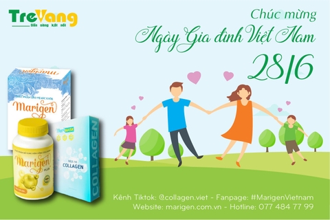 Lịch sử, ý nghĩa ngày Gia đình Việt Nam 28/6