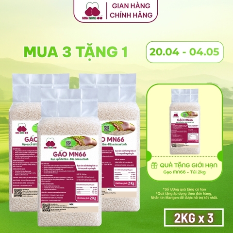 Combo 3 Túi Gạo MN66 - Dẻo mềm, thơm ngon, giàu dinh dưỡng (Túi 2kg hút chân không)