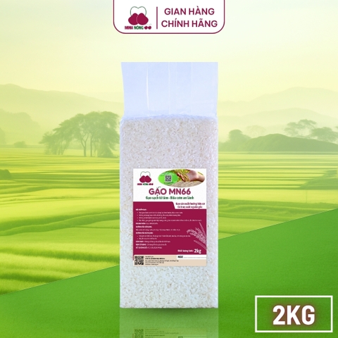 Gạo MN66