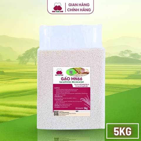 Gạo MN66