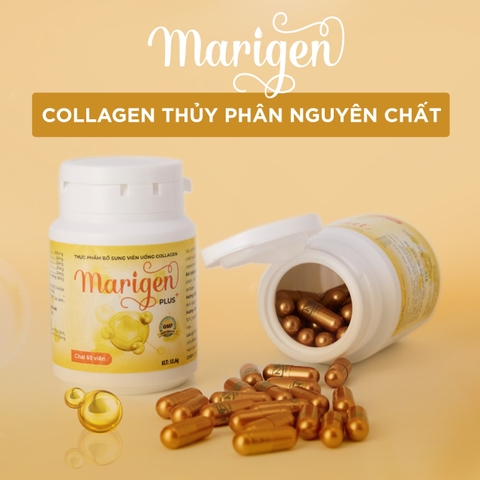 Combo 05 hộp viên uống Collagen Marigen Plus