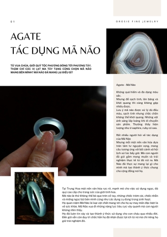 Mã Não - Ý nghĩa sử dụng.