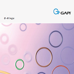 CATALOGUE ORING GAPI-ITALIA