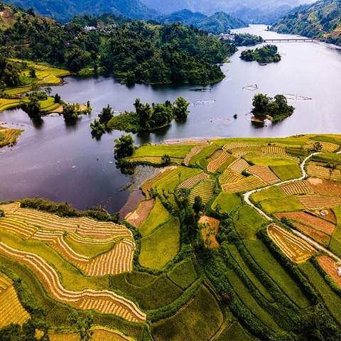 Cung cấp gioăng cao su tại Tuyên Quang.