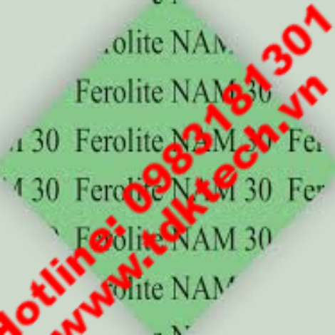 TẤM ĐỆM FEROLITE NAM 30