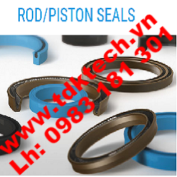 Phớt piston & Phớt cổ trục piston (Piston seal & Rod seal )