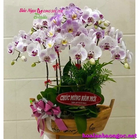 Chậu lan hồ điệp thuyền gỗ  “Thuận buồm xuôi gió” đẹp mắt và sang trọng. Được kết hợp lan hồ điệp đột biến và trắng đặt trên chiếc thuyền gỗ sang trọng. Chậu hoa dành làm quà tặng khai trương, khánh thành, kỷ niệm thành lập công ty, chúc mừng năm mới