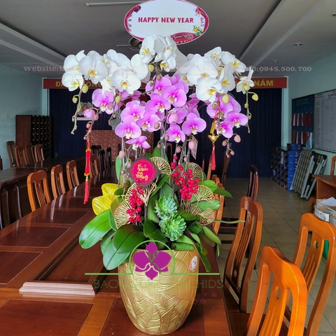 Đa sắc 10 cành HDS-1003