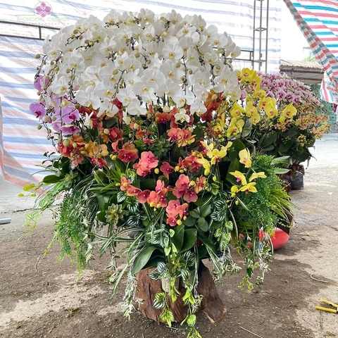Quà tặng sinh nhật LBN038