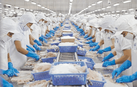ĐIỂM SÁNG NGÀNH XUẤT NHẬP KHẨU THỦY SẢN ĐÔNG LẠNH CUỐI NĂM 2025