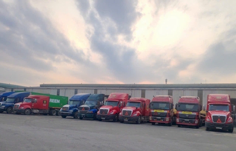 Ngành Vận Tải Container Việt Nam 2025: Thách Thức Từ Cơn Khát Tài Xế Hạng F