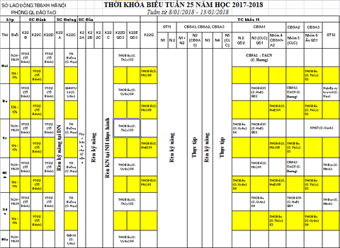 THỜI KHÓA BIỂU TUẦN 25 TỪ 08/01 ĐẾN 13/01/2018