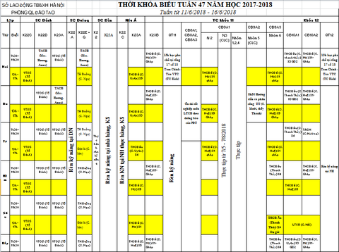 THỜI KHÓA BIỂU TUẦN 47 TỪ 11/6 ĐẾN 16/6/2018