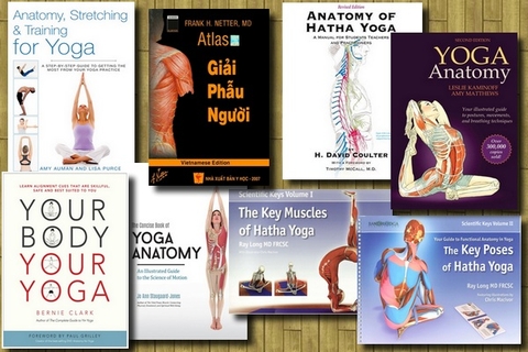 key muscles of hatha yoga book