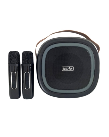 Loa karaoke PETERHOT HK58