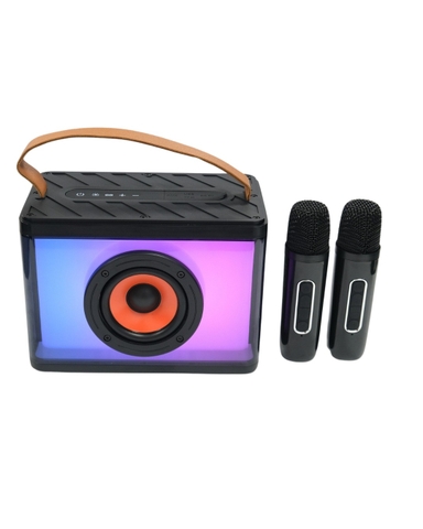 Loa karaoke PETERHOT HK60