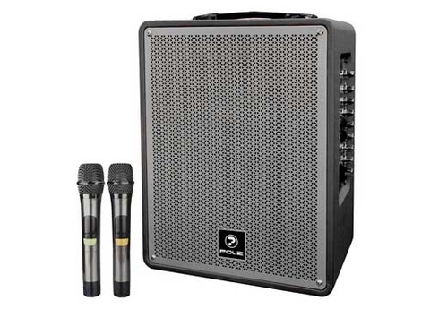 Loa karaoke POL.Z P18 + 2 Mic