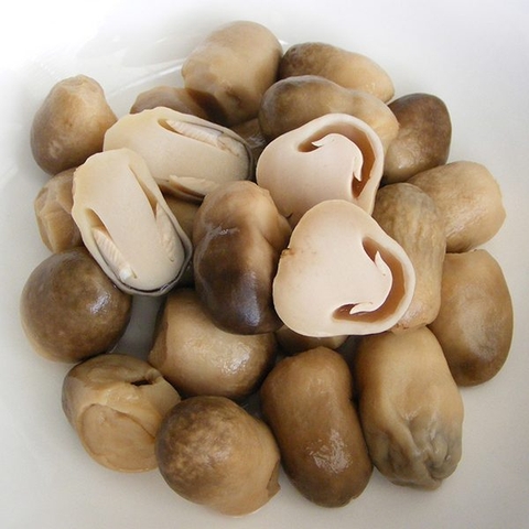 Nấm rơm sạch