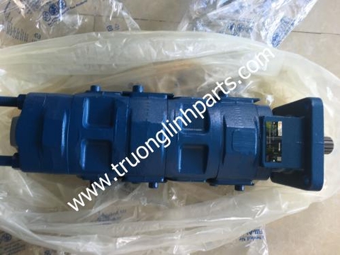 Hydraulic pump 366-509-00000 for Tadano TR250M-3