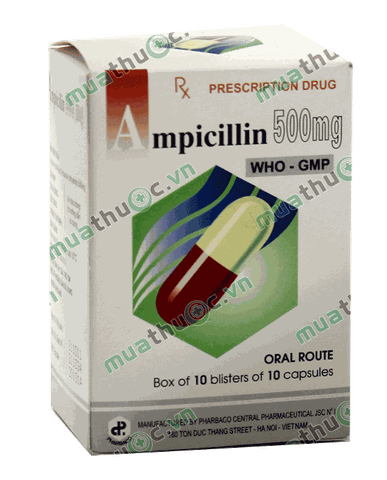 Ampicilin 500mg