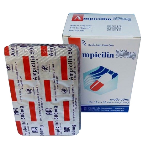 Ampicillin 500mg