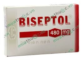 Biseptol 480mg