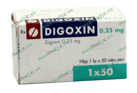 1 mg digoxin