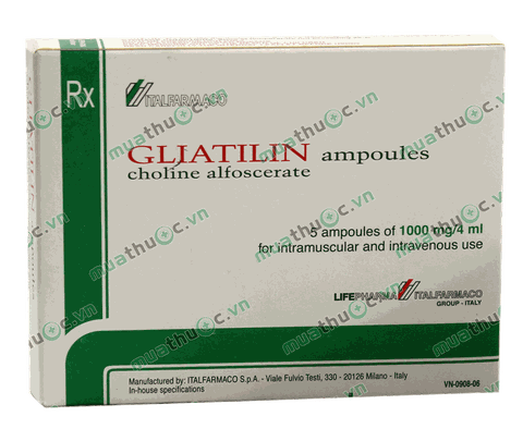 Gliatilin 1000mg/4ml