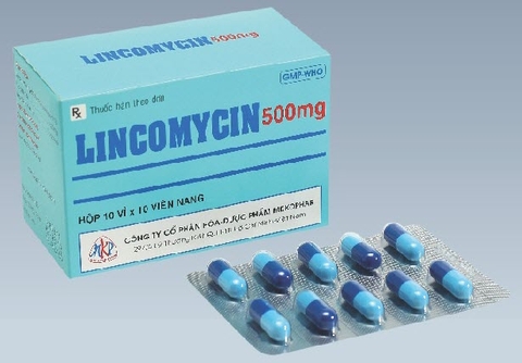 Lincomycin 500mg