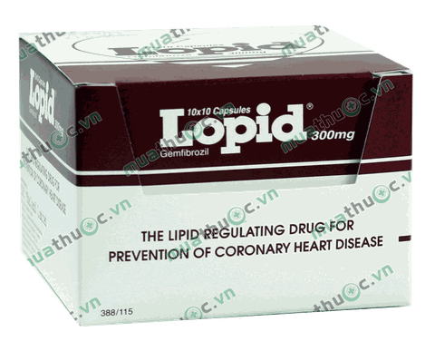 Lopid Tab 300mg