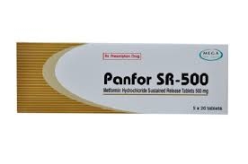 Panfor SR -500