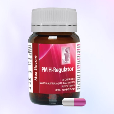 PM H-Regulator
