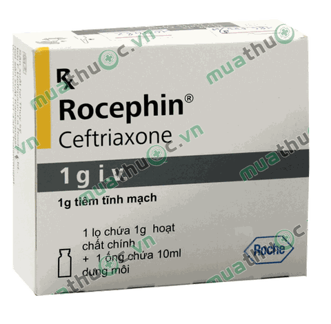 Rocephin 1g IV