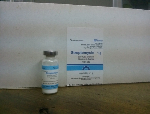 Streptomycin 1g