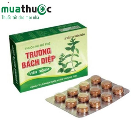 Viên Ngậm Trường Bách Diệp