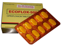 Ecoflox 500