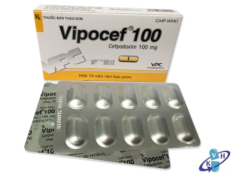 Vinpocef 100