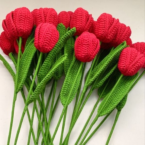 Combo 10 Cành Kẽm 45cm