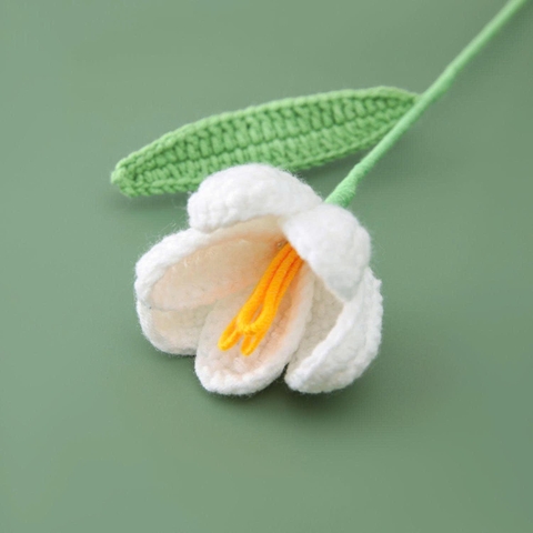 NVL 1 cành hoa Tulip Dài - Trắng