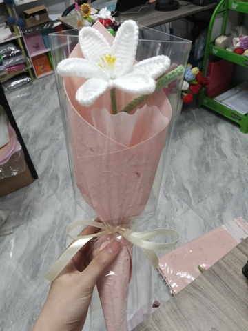 Bó Hoa Len 2026 - Bó Hoa Bọc Kính Handmade