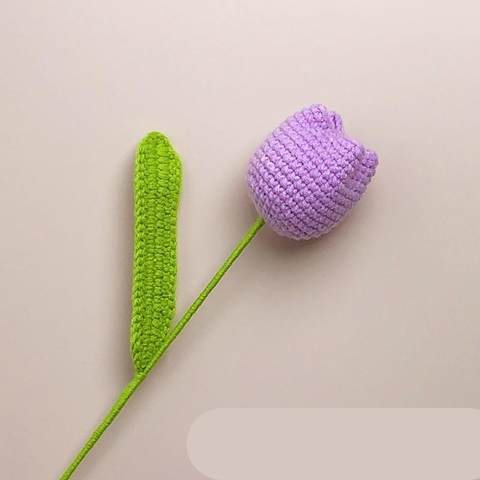 NVL 1 cành hoa Tulip - Tím